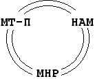 Claw.ru | Рефераты по математике | Конспекты лекций по математической логике