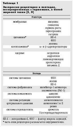 Claw.ru | Рефераты по медицине | Эндокринная функция жировой ткани