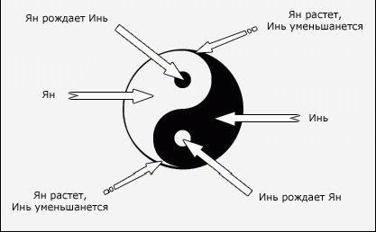 Claw.ru | Рефераты по медицине | Теория восстановления: теория или жизнь?