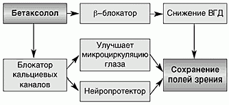 Claw.ru | Рефераты по медицине | Бетаксолол в лечении глаукомы