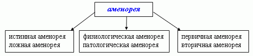 Claw.ru | Рефераты по медицине | Аменорея (Отсутствие менструации)