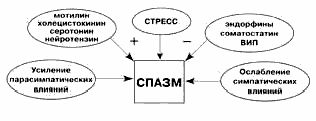 Claw.ru | Рефераты по медицине | Спазмолитики в гастроэнтерологии: сравнительная характеристика и показания к применению