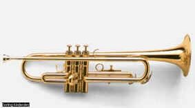 Claw.ru | Рефераты по музыке | Медные духовые и ударные инструменты