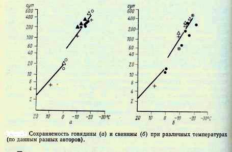 Claw.ru | Рефераты по науке и технике | Зависимость интенсивности дыхания растительных продуктов от температуры