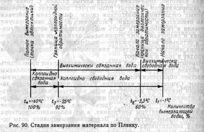 Claw.ru | Рефераты по науке и технике | Зависимость интенсивности дыхания растительных продуктов от температуры