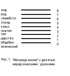 Claw.ru | Рефераты по науке и технике | О некоторых стратегических ошибках в современном креационном мышлении