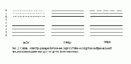 Claw.ru | Рефераты по науке и технике | О некоторых стратегических ошибках в современном креационном мышлении