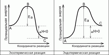 Claw.ru | Рефераты по науке и технике | Кинематика химических реакций