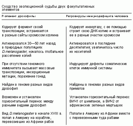 Claw.ru | Рефераты по науке и технике | Неканонические наследственные изменения