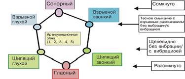 Claw.ru | Рефераты по науке и технике | Законы фрактальных соотношений артикуляционных жестов и акустических свойств элементарных звуков речи