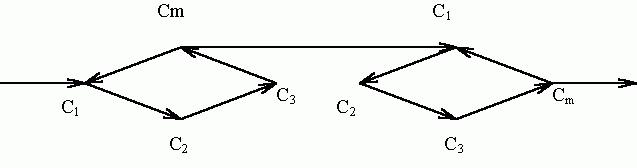 Claw.ru | Рефераты по науке и технике | Биологическое время и его моделирование в квазихимическом пространстве