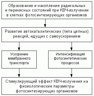 Claw.ru | Рефераты по науке и технике | Некоторые новые представления о причинах формирования стимулирующих эффектов КВЧ-излучения