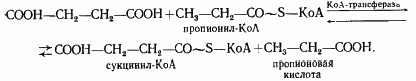 Claw.ru | Рефераты по науке и технике | Эволюция энергетических процессов у эубактерий