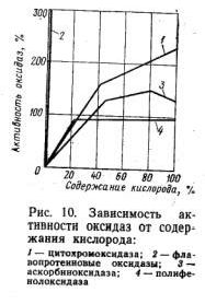 Claw.ru | Рефераты по науке и технике | Зависимость интенсивности дыхания растительных продуктов от температуры