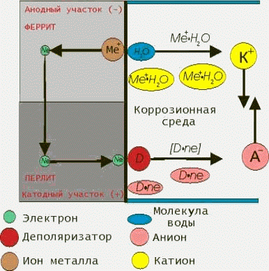 Claw.ru | Рефераты по науке и технике | К вопросу о механизме магнитной обработки