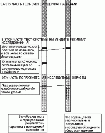 Экспресс-тест для определения наркотиков (опимизировано для 600х800)