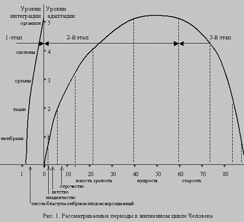 Claw.ru | Рефераты по психологии | Жизненный цикл Человека