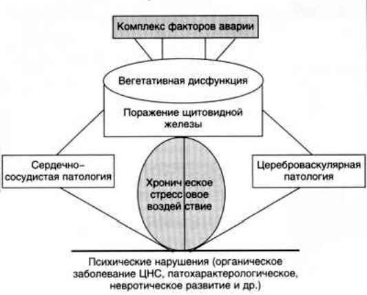 Claw.ru | Рефераты по психологии | Медико-психологическая помощь пострадавшим при экологических катастрофах