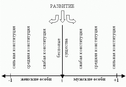 Claw.ru | Рефераты по сексологии | Половая конституция человека и методы ее определения