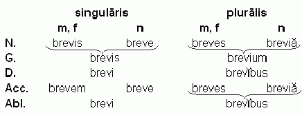 Claw.ru | Топики по английскому языку | Accusat+vus duplex. Nominat+vus duplex латинский