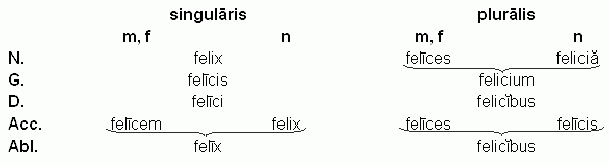 Claw.ru | Топики по английскому языку | Accusat+vus duplex. Nominat+vus duplex латинский