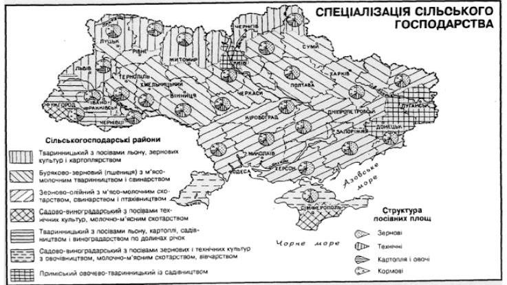 Claw.ru | Топики по английскому языку | Регіональний розвиток харчової промисловості України