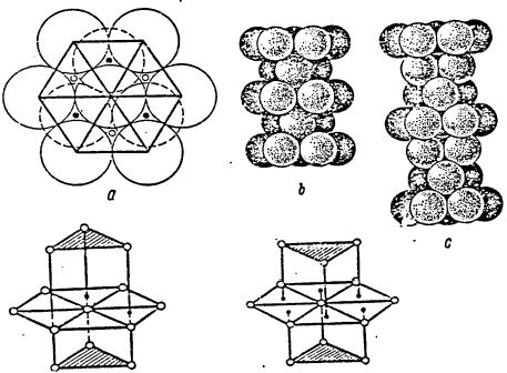 Claw.ru | Топики по английскому языку | Why the crystal structure of the element is such lattice but not another? Claw.ru | Топики по английскому языку | Why the crystal structure of the element is such lattice but not another?